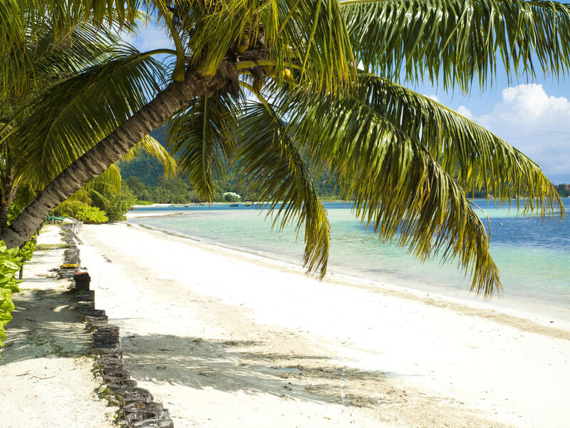 Indian Ocean Lodge