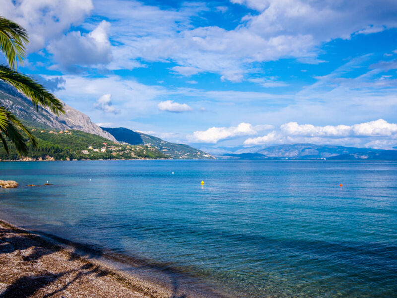 Ipsos Di Mare