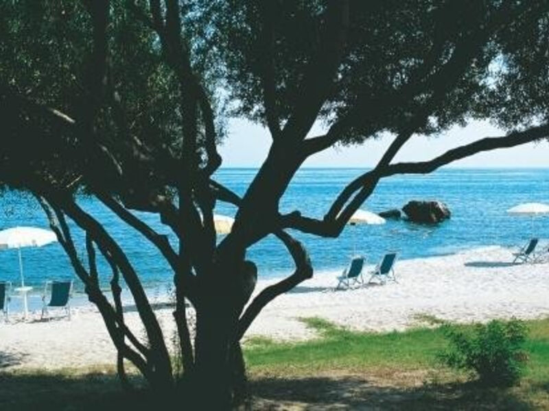 Is Morus Relais