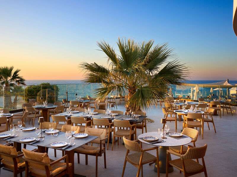 Isla Brown Chania