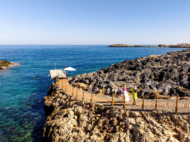 Isla Brown Chania