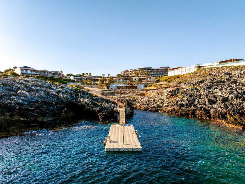 Isla Brown Chania
