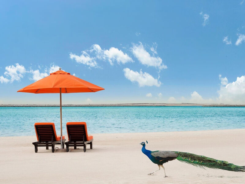 Ja Beach