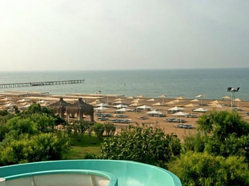 Jacaranda Beach
