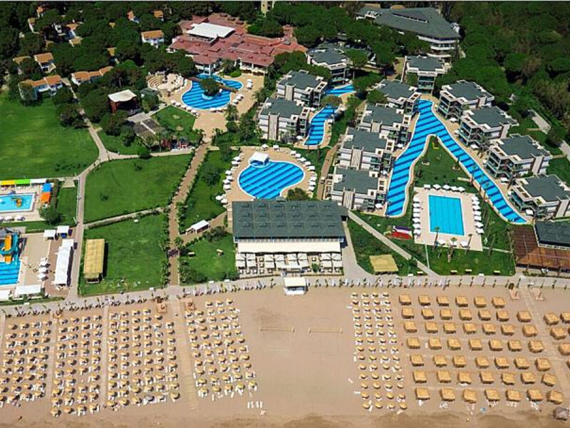 Jacaranda Beach