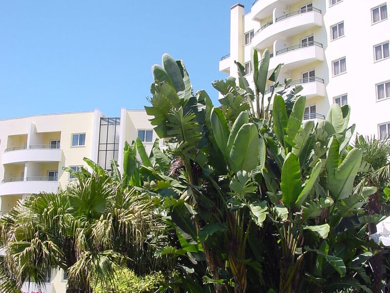 Jardins D' Ajuda