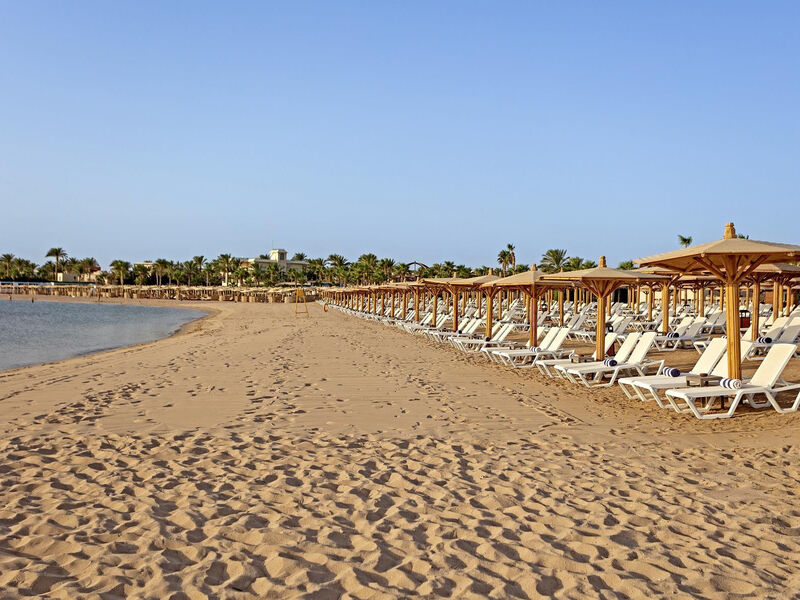 Joan Beach