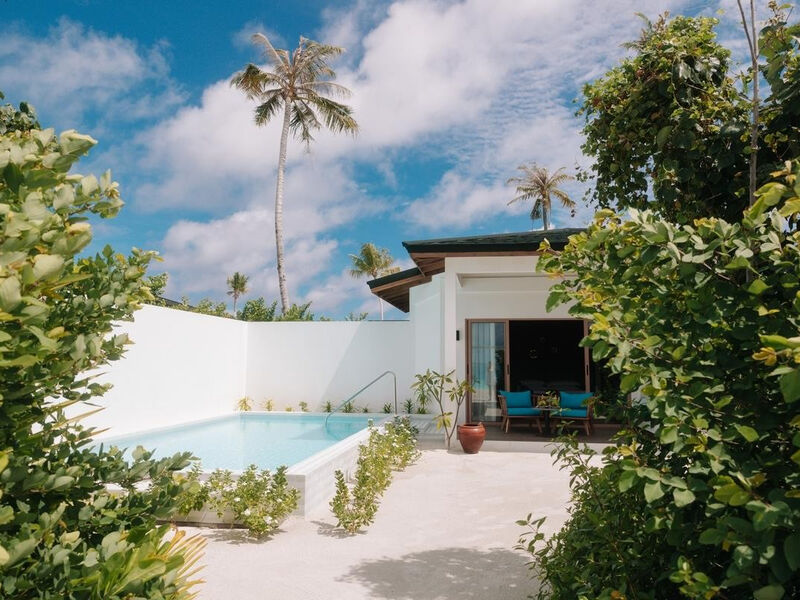 Joy Island