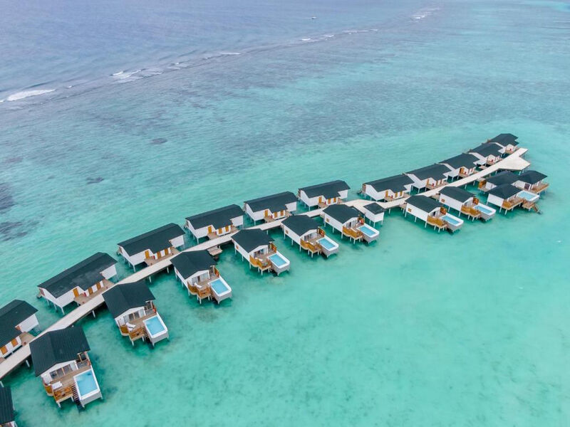 Joy Island