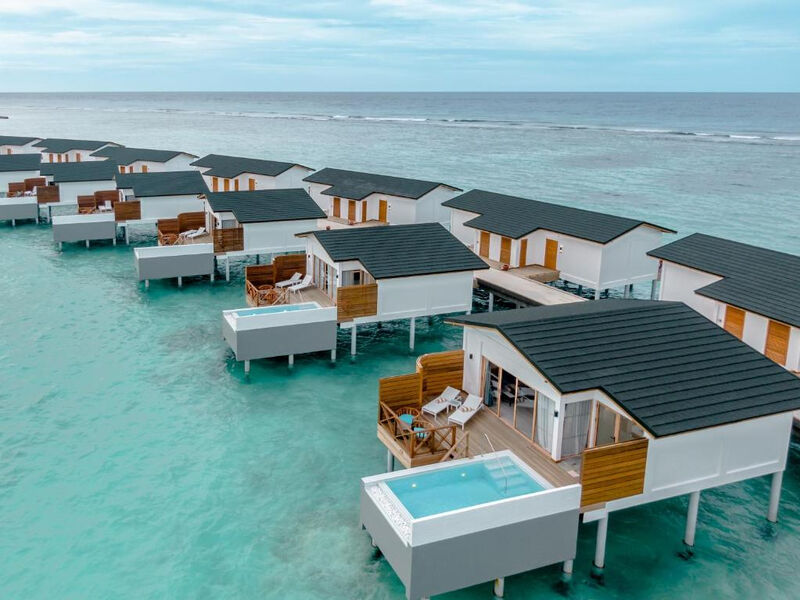 Joy Island