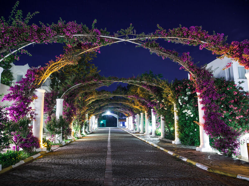 Kadikale Resort