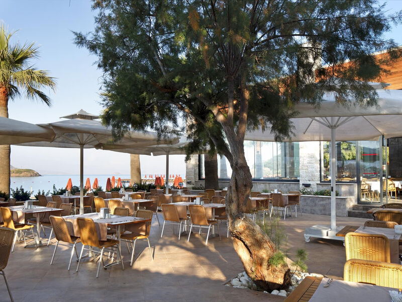 Kadikale Resort