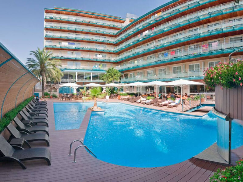Kaktus Playa