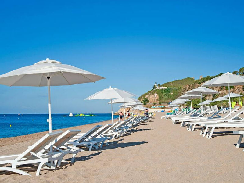 Kaktus Playa