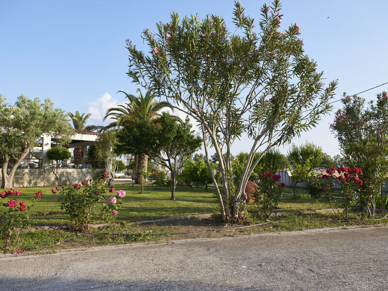 Kalloni Bay