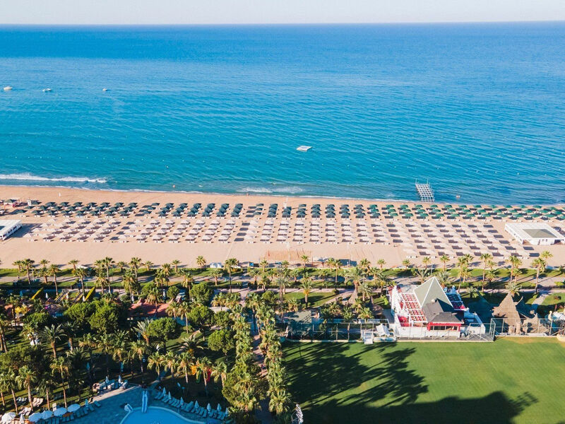 Kamelya Sentido Selin