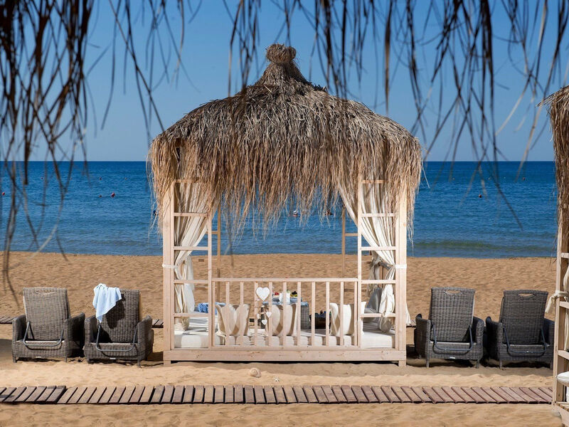 Kamelya Sentido Selin