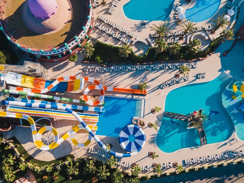 Kamelya Sentido Selin