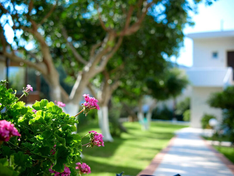 Hotel Katrin & Bungalows