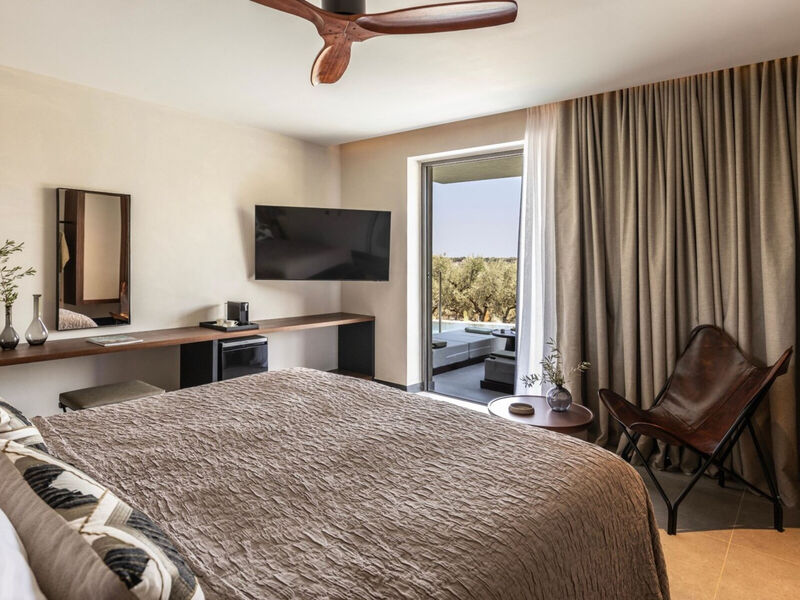 King Jason Zante By Louis Hotels