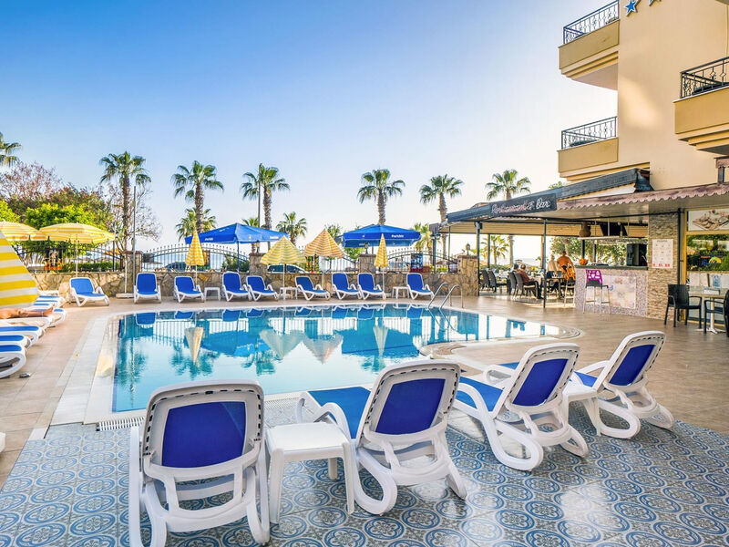 Royal Palm