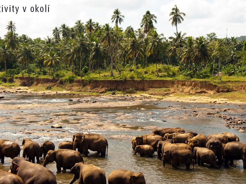 Koggala Beach Ai