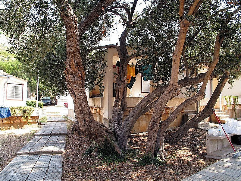 Bungalovy Komodor