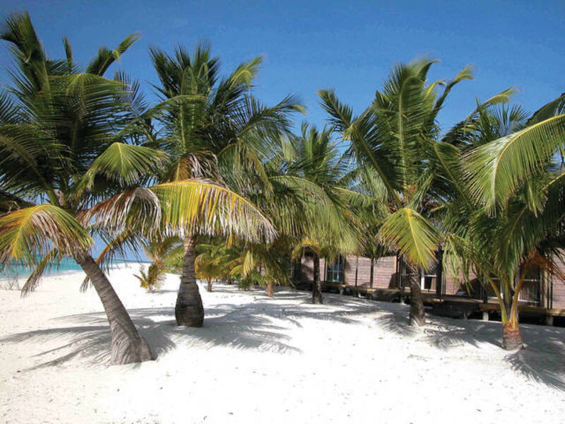 Kuredu