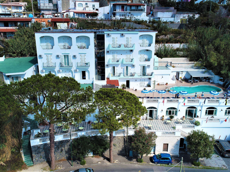 La Ginestra