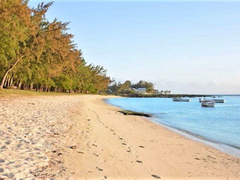 La Margarita
