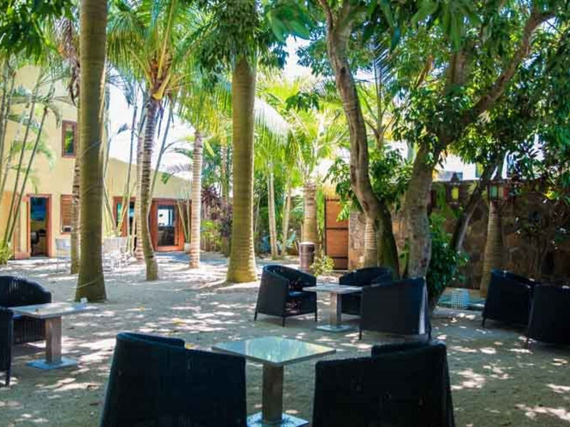 La Margarita