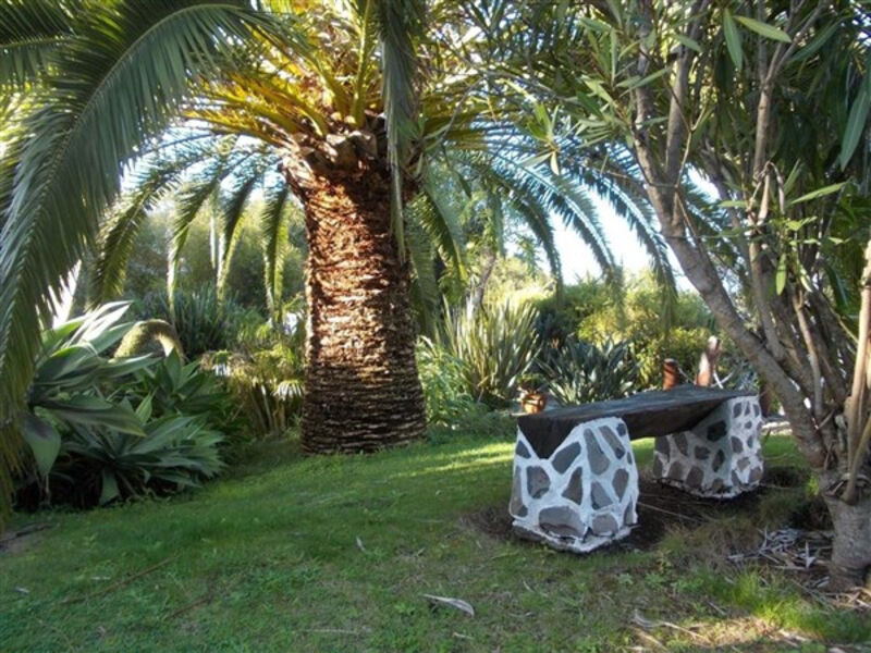 La Palma Romantica
