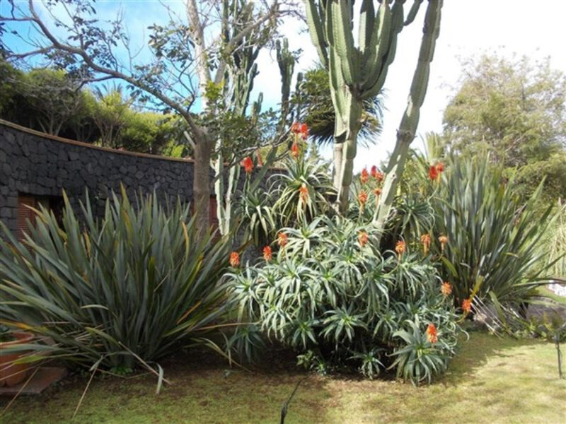 La Palma Romantica
