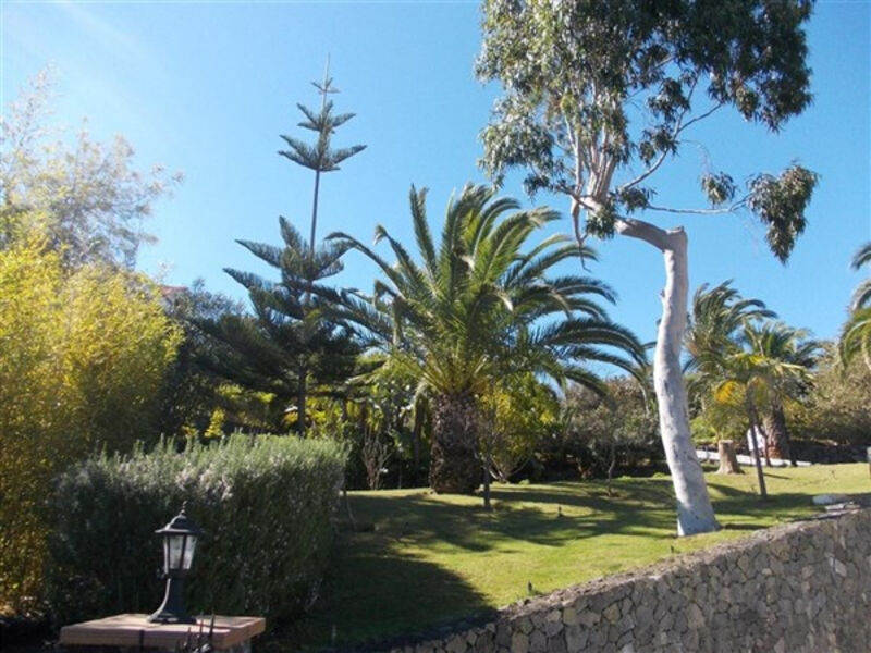 La Palma Romantica