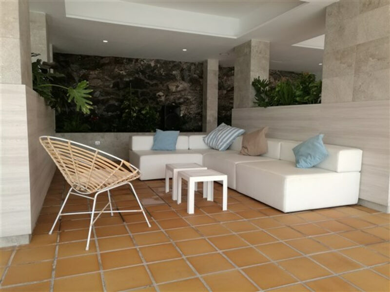Labranda Lemon & Soul Cactus Garden