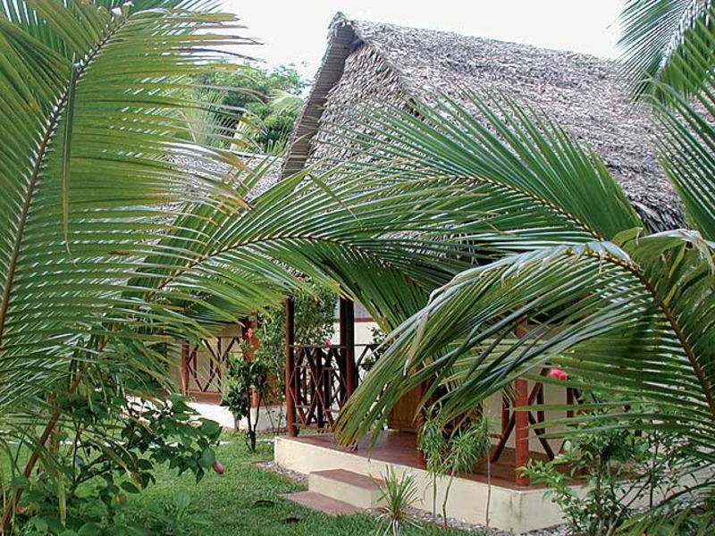 Lakana