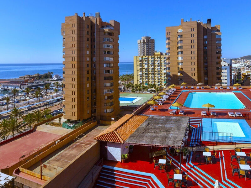 Las Palmeras Affiliated by FERGUS