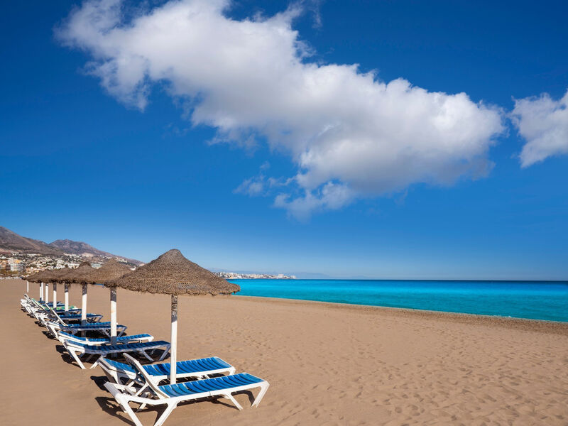 Las Palmeras Affiliated by FERGUS