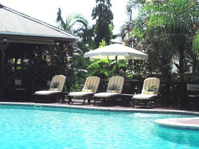 Le Jardin Des Palmes