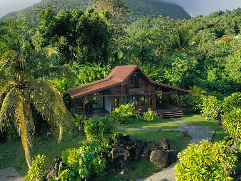 Le Jardin Malanga