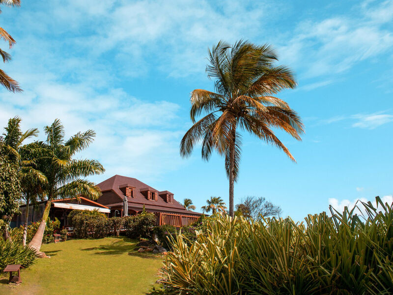 Le Jardin Malanga