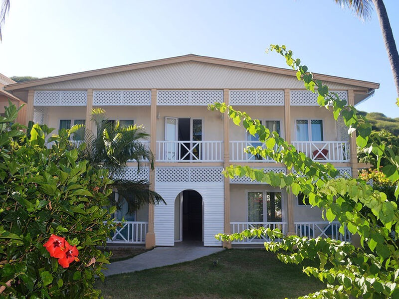 Les Cocotiers