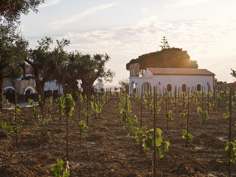 Lesante Cape Resort & Villas