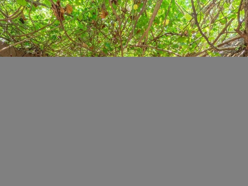 Live Aqua Beach Resort Cancun