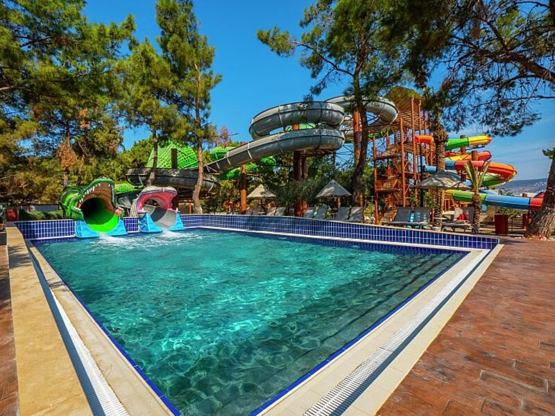 Long Beach Club Nature