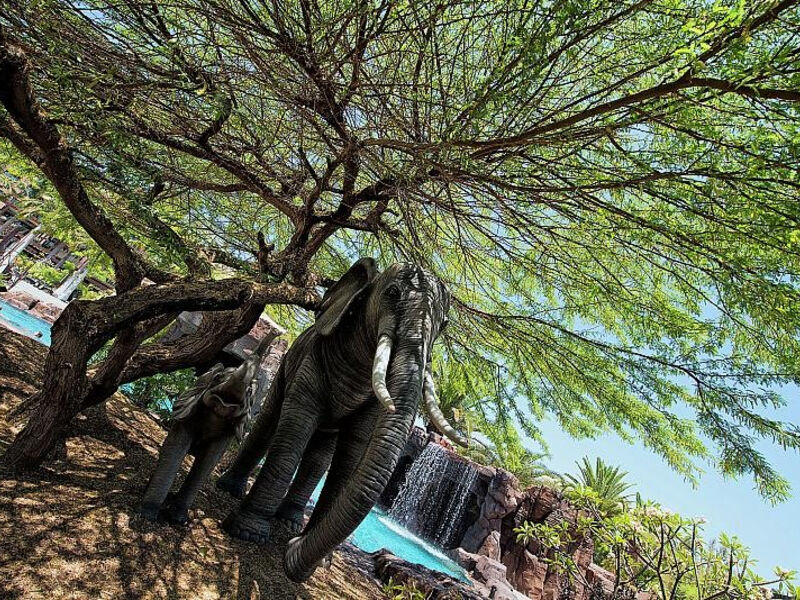 Lopesan Baobab Resort