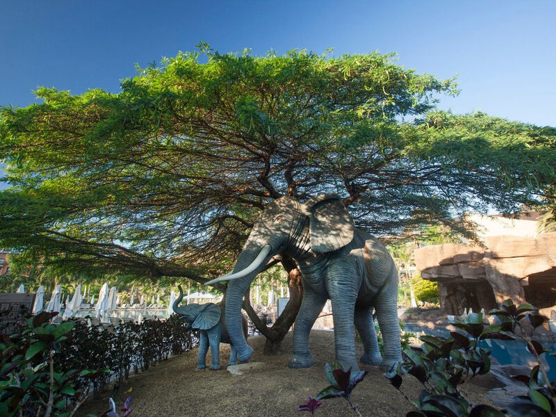 Lopesan Baobab Resort