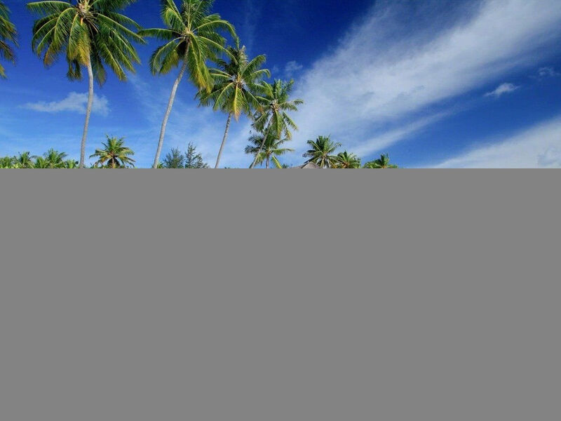 Machchafushi Island Resort & Spa Maldives, The Centara Collection