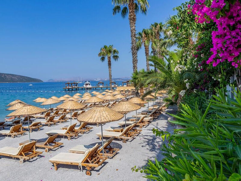 Tui Magic Life Bodrum