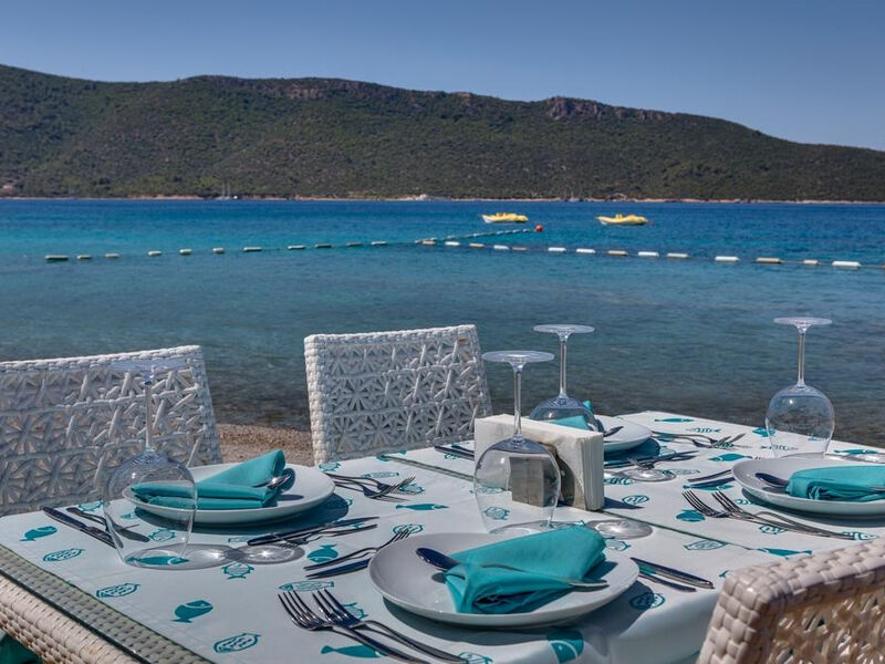 Tui Magic Life Bodrum